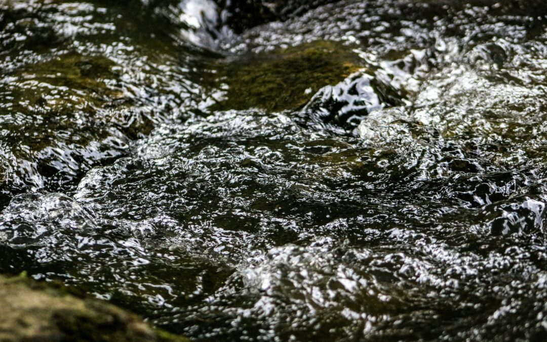 rivière