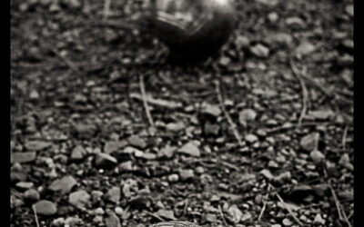 tu pointes ou tu tires ?