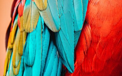 Douter de qui je suis