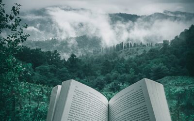 Mon monde des livres