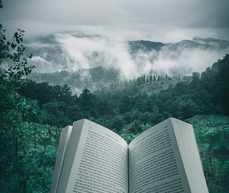 Mon monde des livres