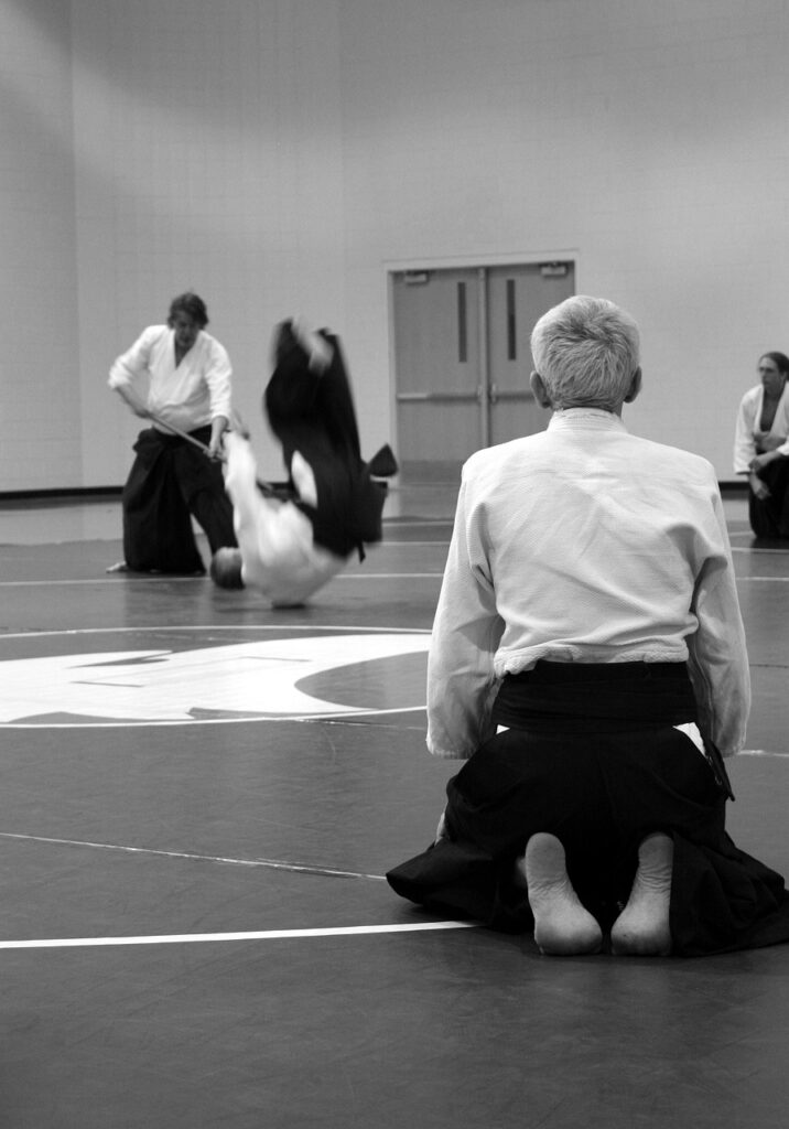 aikido, martial arts, self-defense, learning, seminar, senseis, training, gray learning, gray training, aikido, aikido, aikido, aikido, aikido, martial arts