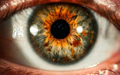 regard neuf